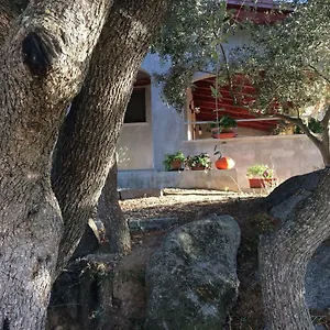 S'umbra De S'ozzastru Hébergement de vacances Orgosolo